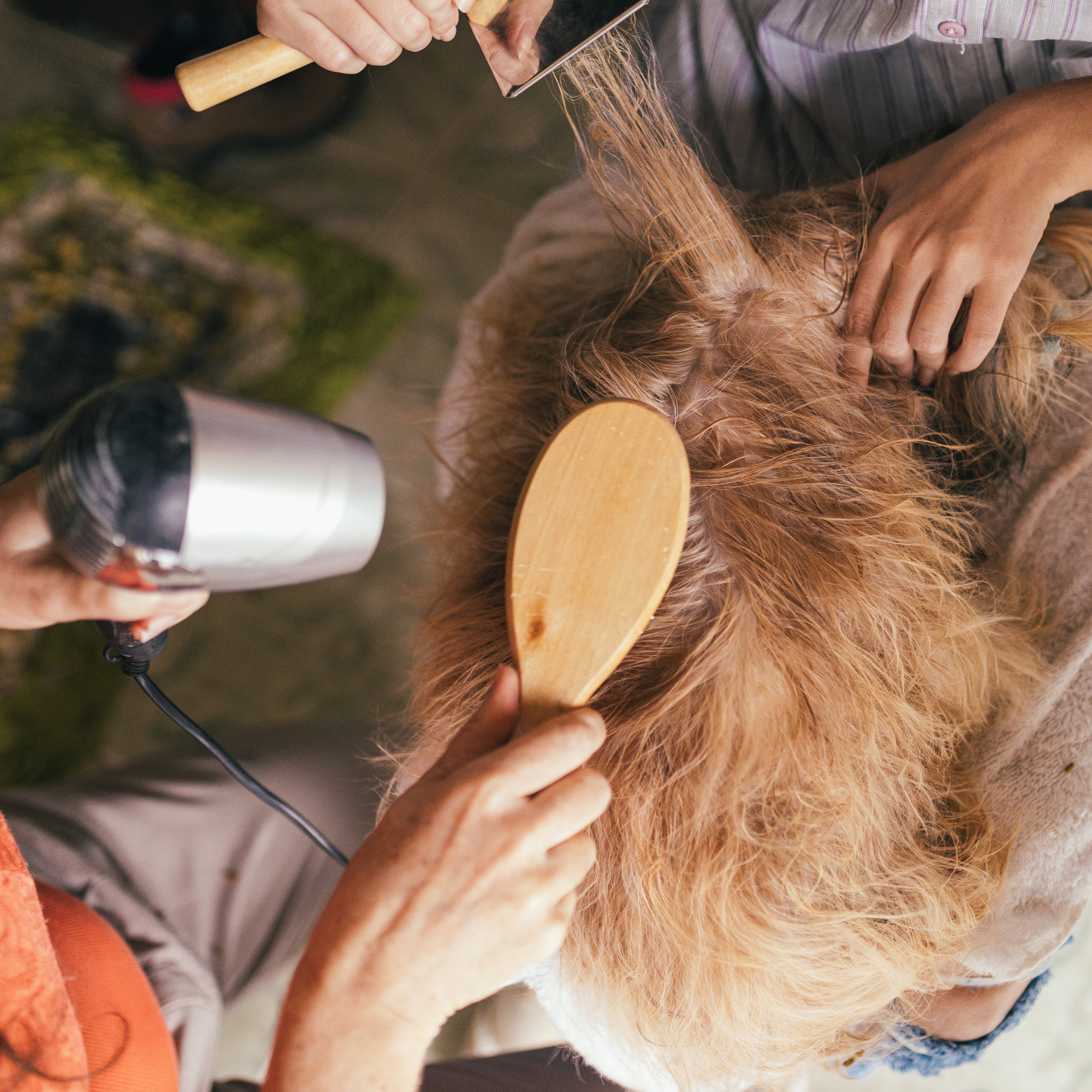 Pet deals hair care